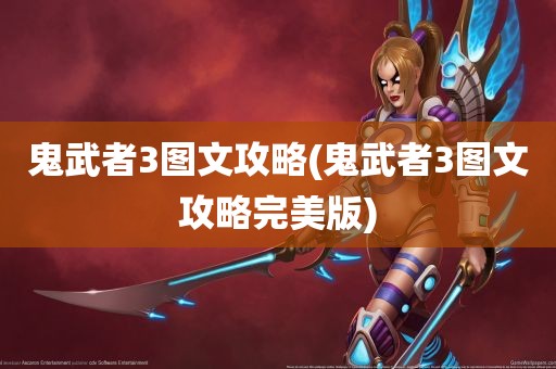 鬼武者3图文攻略(鬼武者3图文攻略完美版)