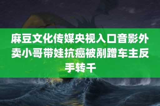 麻豆文化传媒央视入口音影外卖小哥带娃抗癌被剐蹭车主反手转千