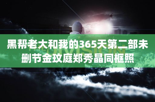 黑帮老大和我的365天第二部未删节金玟庭郑秀晶同框照