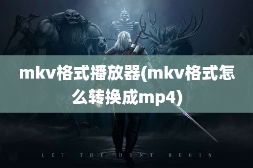 mkv格式播放器(mkv格式怎么转换成mp4)