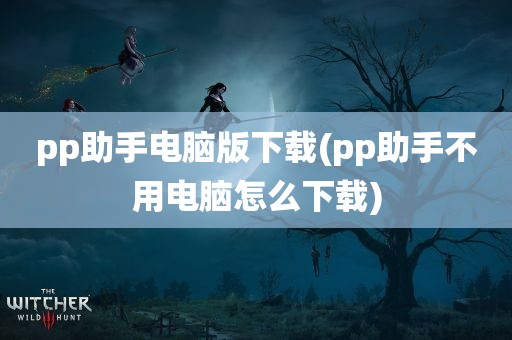 pp助手电脑版下载(pp助手不用电脑怎么下载)