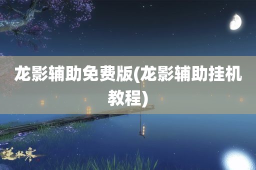 龙影辅助免费版(龙影辅助挂机教程)