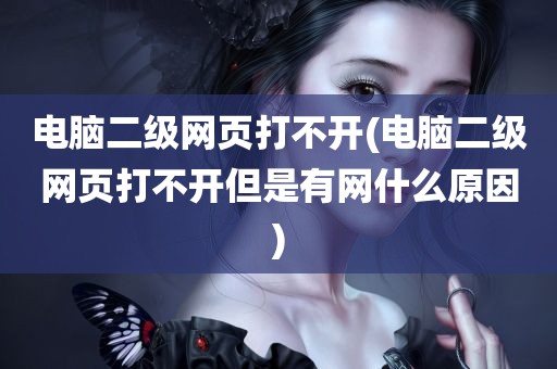 电脑二级网页打不开(电脑二级网页打不开但是有网什么原因)