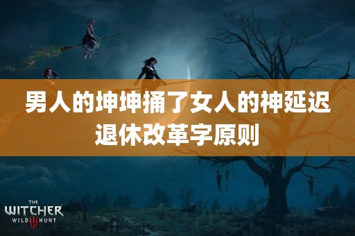 男人的坤坤捅了女人的神延迟退休改革字原则