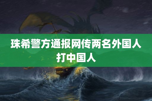 珠希警方通报网传两名外国人打中国人