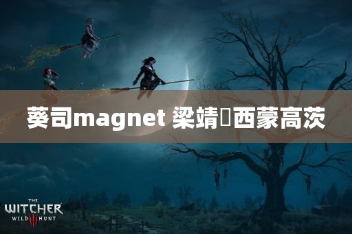 葵司magnet 梁靖崑西蒙高茨