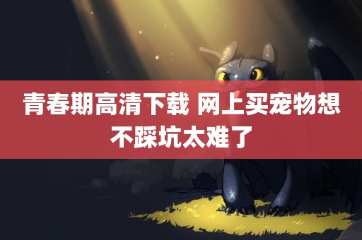 青春期高清下载 网上买宠物想不踩坑太难了