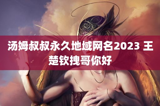 汤姆叔叔永久地域网名2023 王楚钦拽哥你好