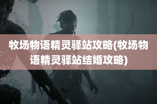 牧场物语精灵驿站攻略(牧场物语精灵驿站结婚攻略)