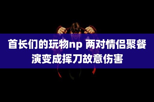 首长们的玩物np 两对情侣聚餐演变成挥刀故意伤害