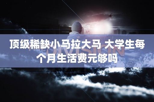 顶级稀缺小马拉大马 大学生每个月生活费元够吗