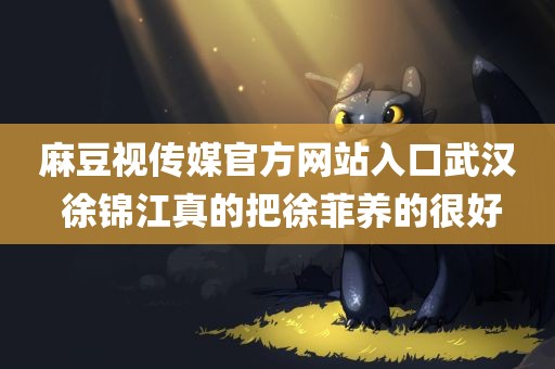 麻豆视传媒官方网站入口武汉 徐锦江真的把徐菲养的很好