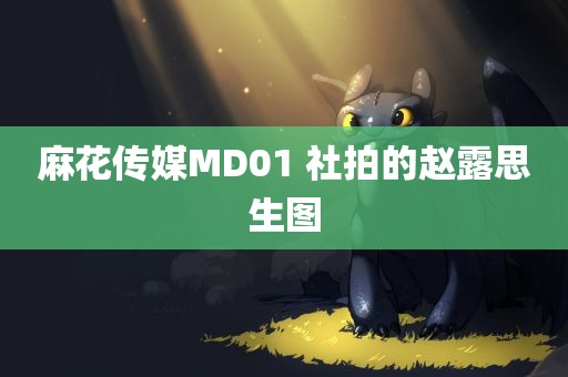 麻花传媒MD01 社拍的赵露思生图