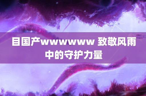 目国产wwwwww 致敬风雨中的守护力量