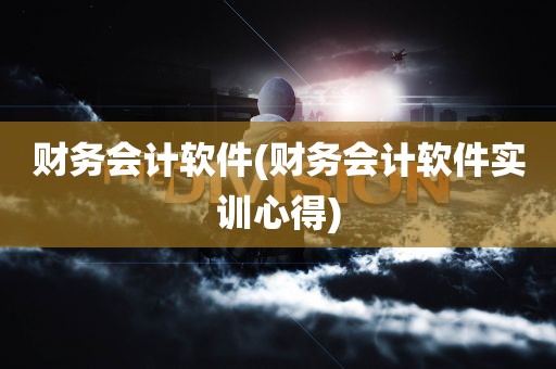 财务会计软件(财务会计软件实训心得)