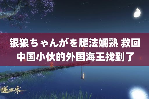 银狼ちゃんがを腿法娴熟 救回中国小伙的外国海王找到了