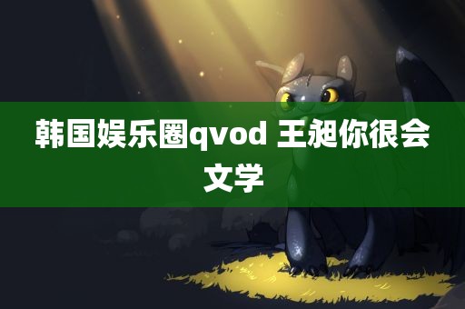 韩国娱乐圈qvod 王昶你很会文学