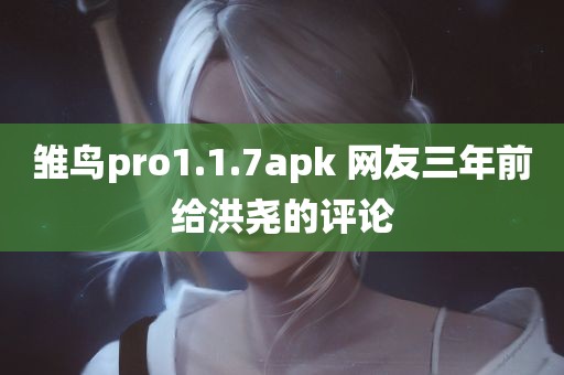 雏鸟pro1.1.7apk 网友三年前给洪尧的评论