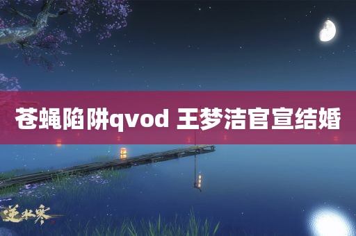 苍蝇陷阱qvod 王梦洁官宣结婚