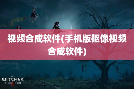 视频合成软件(手机版抠像视频合成软件)