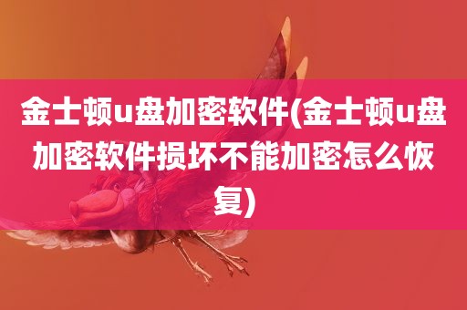 金士顿u盘加密软件(金士顿u盘加密软件损坏不能加密怎么恢复)