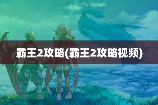 霸王2攻略(霸王2攻略视频)