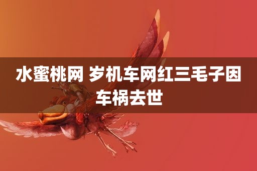 水蜜桃网 岁机车网红三毛子因车祸去世