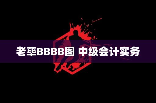 老荜BBBB图 中级会计实务