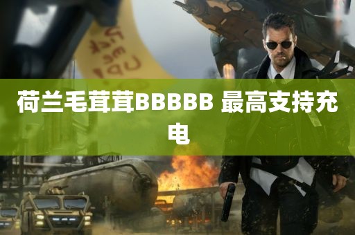 荷兰毛茸茸BBBBB 最高支持充电