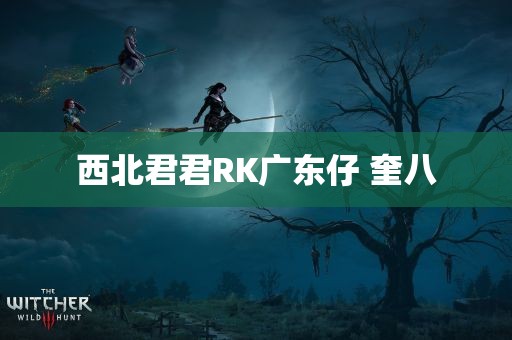 西北君君RK广东仔 奎八