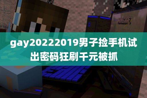 gay20222019男子捡手机试出密码狂刷千元被抓