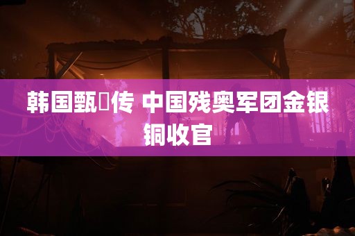 韩国甄嬛传 中国残奥军团金银铜收官