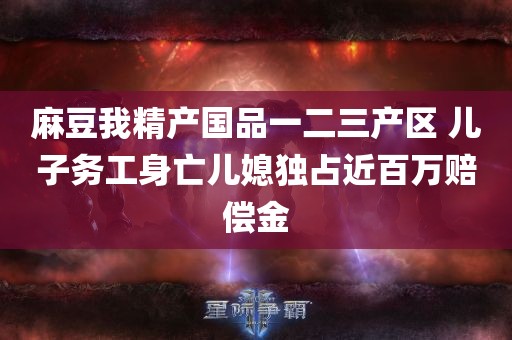 麻豆我精产国品一二三产区 儿子务工身亡儿媳独占近百万赔偿金