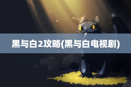 黑与白2攻略(黑与白电视剧)