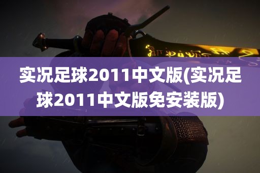 实况足球2011中文版(实况足球2011中文版免安装版)