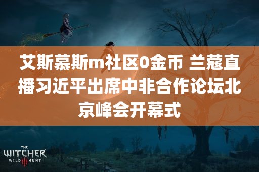 艾斯慕斯m社区0金币 兰蔻直播习近平出席中非合作论坛北京峰会开幕式