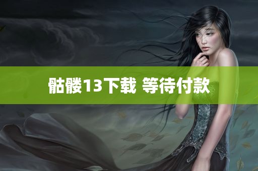 骷髅13下载 等待付款