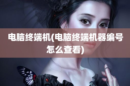 电脑终端机(电脑终端机器编号怎么查看)