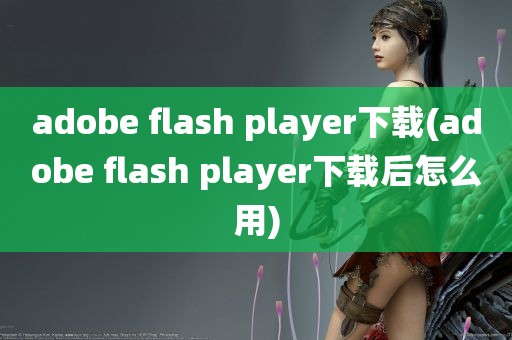 adobe flash player下载(adobe flash player下载后怎么用)