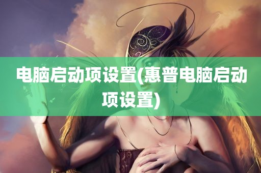 电脑启动项设置(惠普电脑启动项设置)