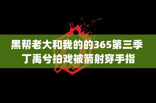 黑帮老大和我的的365第三季 丁禹兮拍戏被箭射穿手指