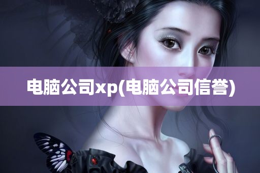 电脑公司xp(电脑公司信誉)