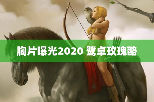 胸片曝光2020 鹭卓玫瑰酪