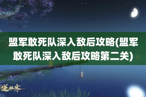 盟军敢死队深入敌后攻略(盟军敢死队深入敌后攻略第二关)