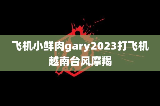 飞机小鲜肉gary2023打飞机越南台风摩羯