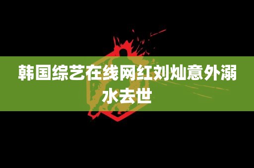 韩国综艺在线网红刘灿意外溺水去世