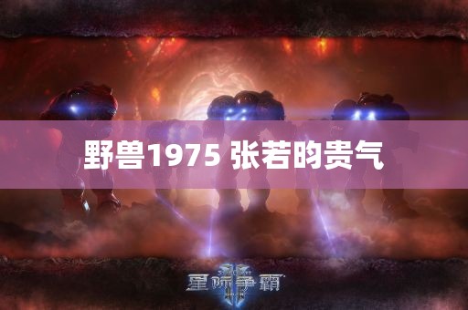 野兽1975 张若昀贵气