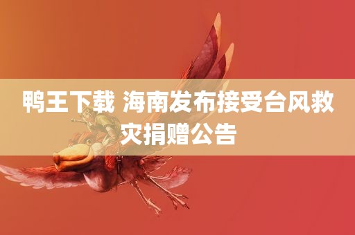 鸭王下载 海南发布接受台风救灾捐赠公告