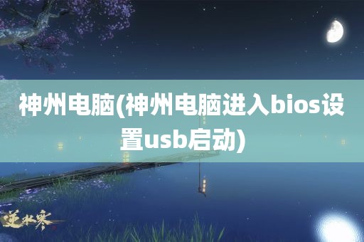 神州电脑(神州电脑进入bios设置usb启动)