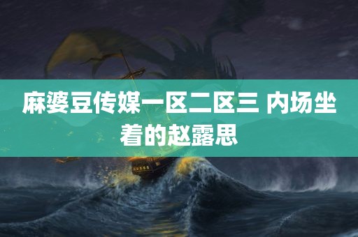 麻婆豆传媒一区二区三 内场坐着的赵露思